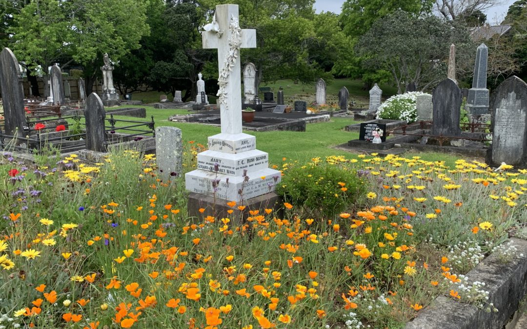Change in Pre-Purchase Burial Plot Policy